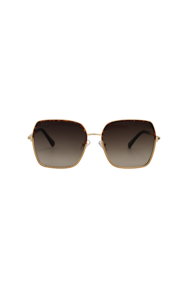 Aspen Sunglasses | Brown