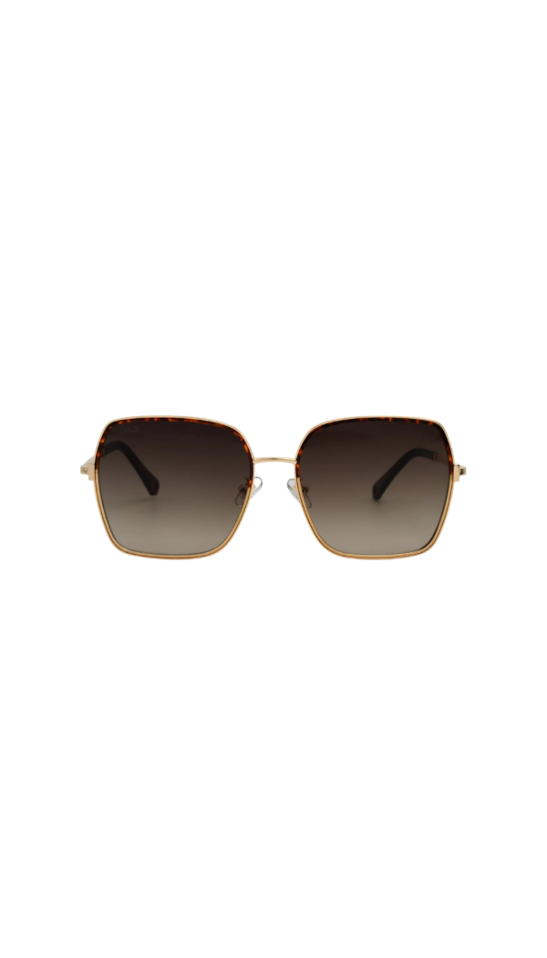 Aspen Sunglasses | Brown