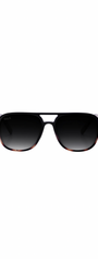 Briggs Sunglasses | Black Gradient