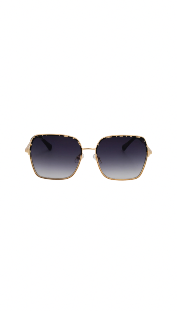Aspen Sunglasses | Gray