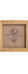 Square Frame | Flower Print