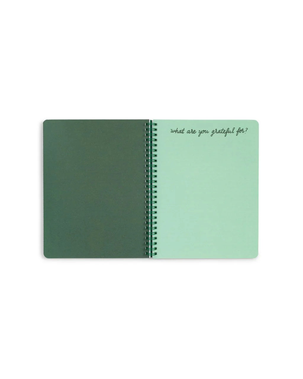 Mini Notebook | Emerald Super Bloom