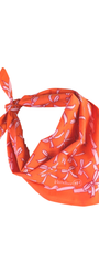No. 151 | Beth Bandana