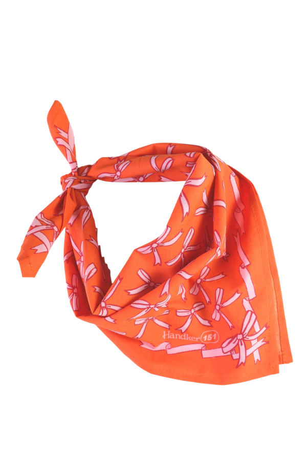 No. 151 | Beth Bandana