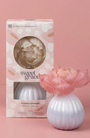 Flower Diffuser | Sweet Grace
