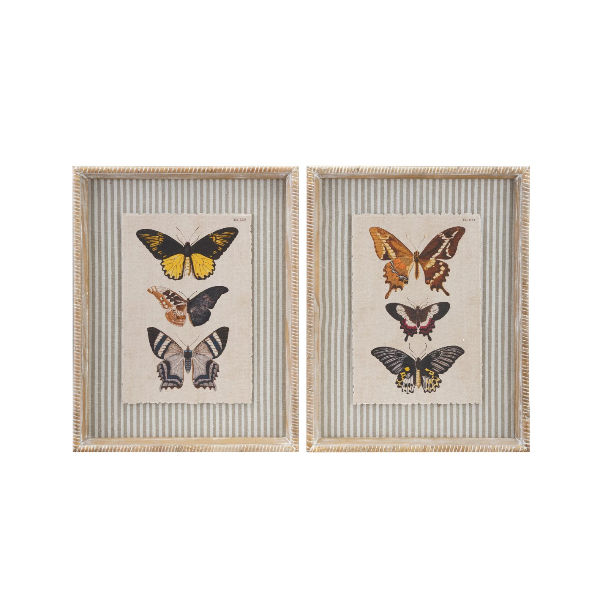 Butterfly Wall Decor