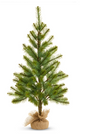Potted Long Needle Pine Tree | 36"