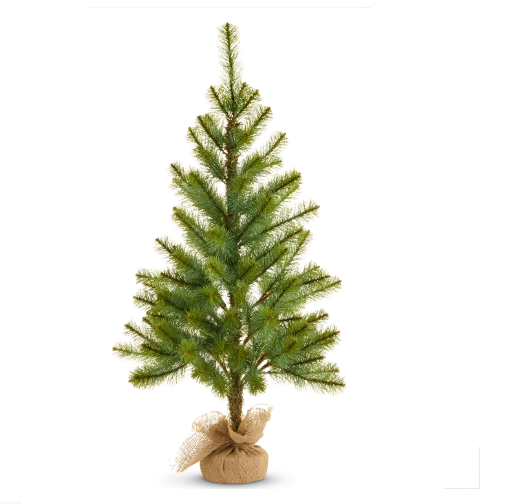 Potted Long Needle Pine Tree | 36"