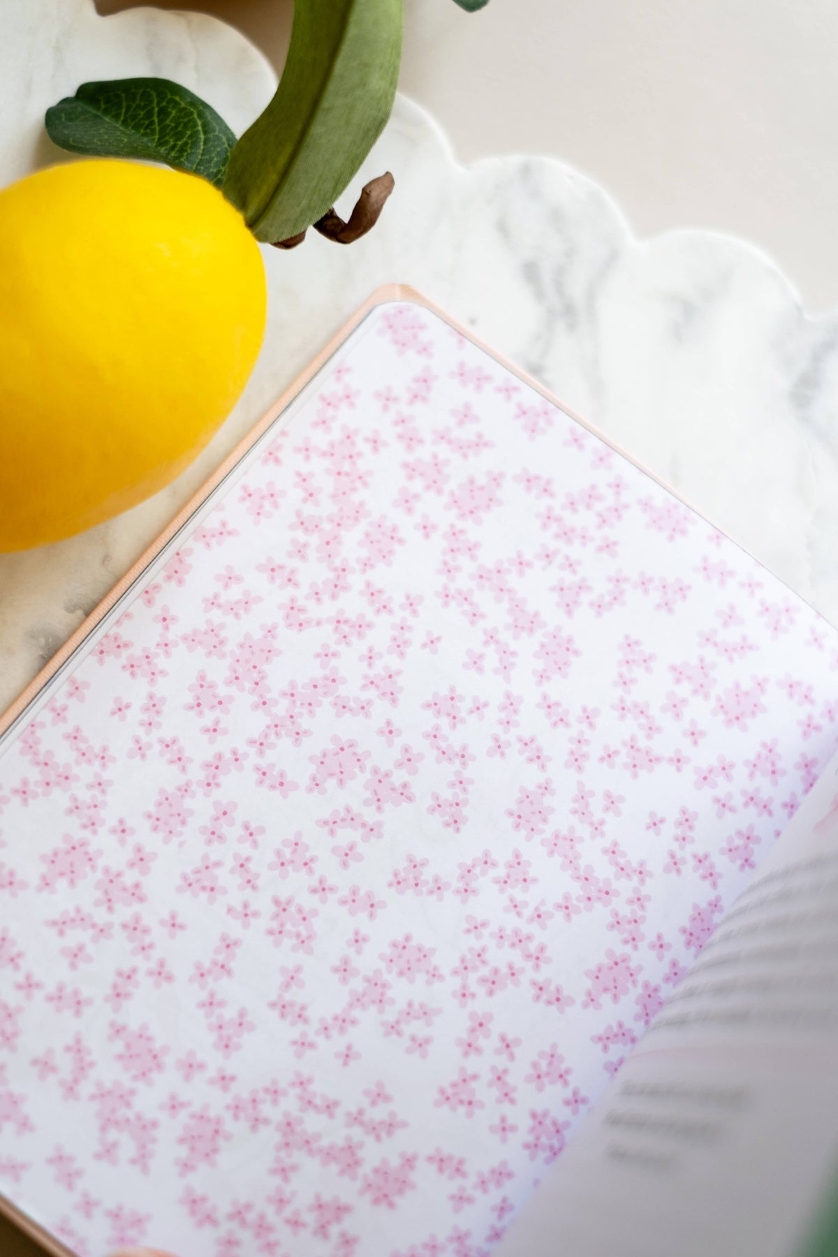 Devotional | Short + Sweet