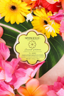 Daisy Spongette | Coconut Verbena