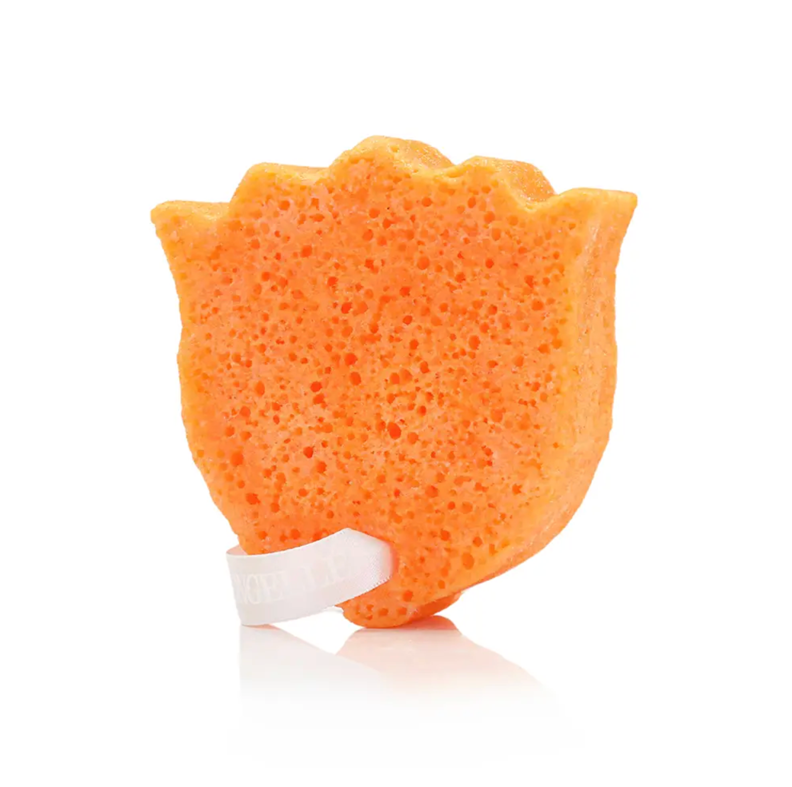 Boxed Spongellé | Parisian Vanilla
