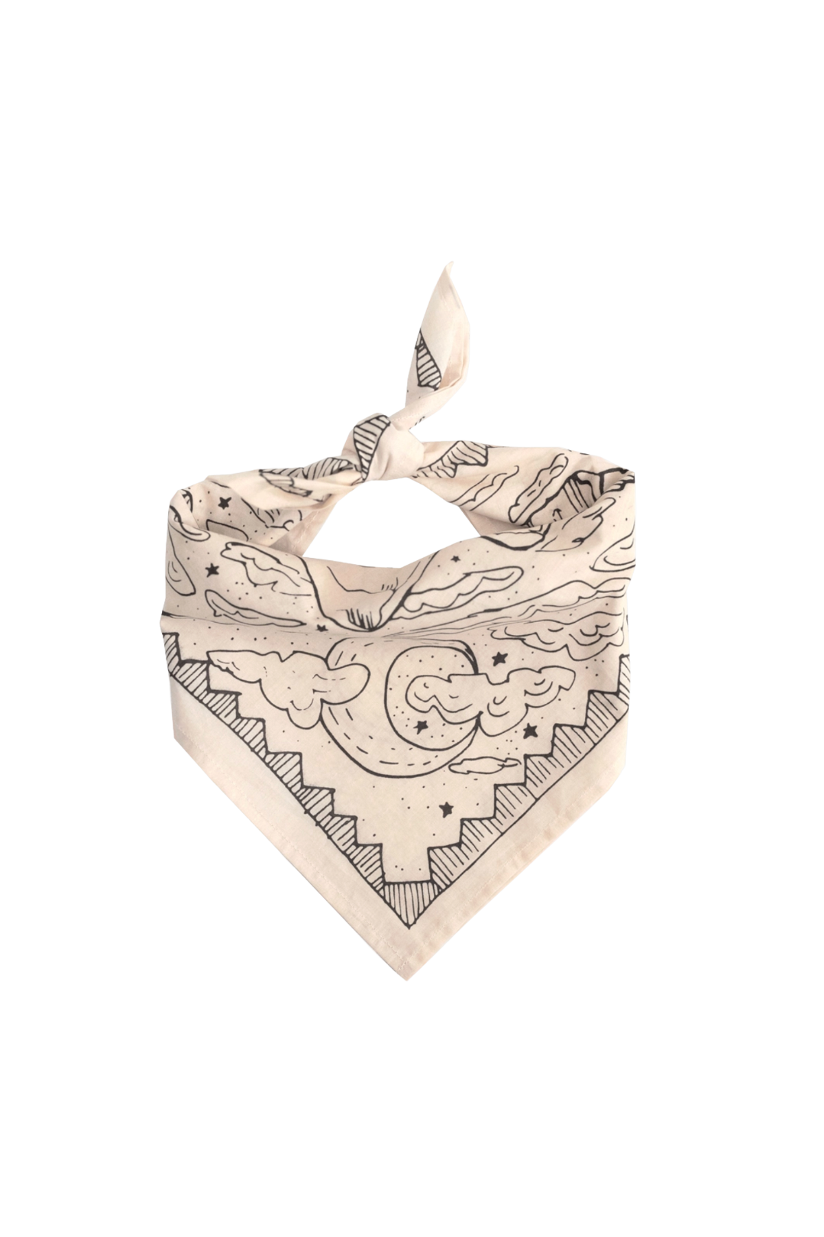 No. 068 | Desert Bandana