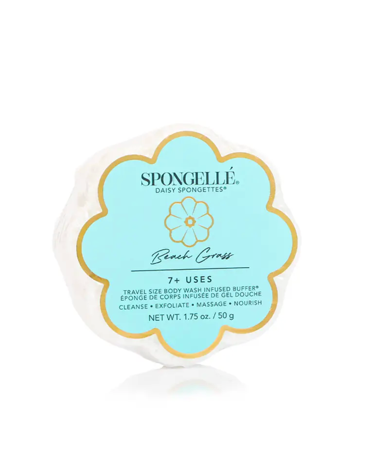 Daisy Spongette | Beach Grass