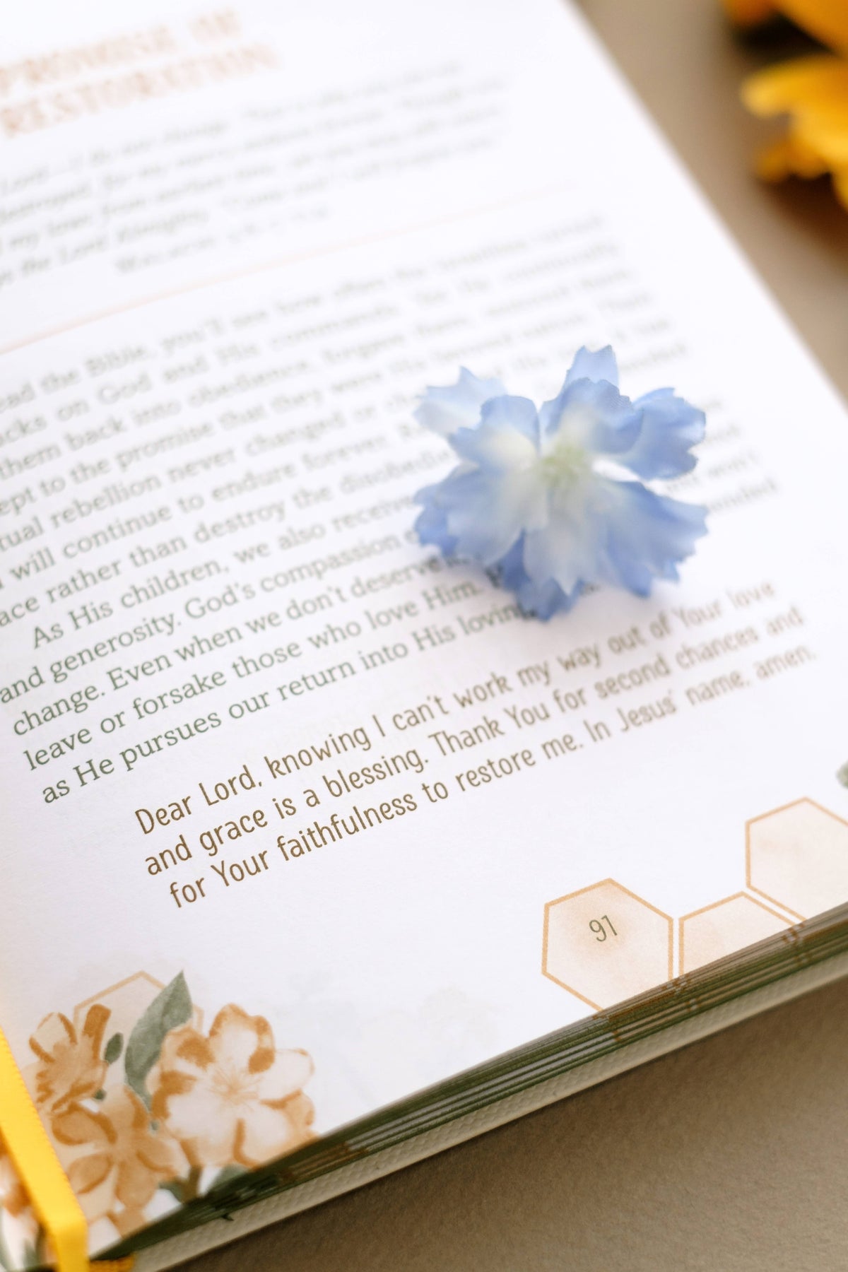 Devotional | Milk + Honey