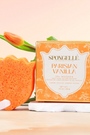 Boxed Spongellé | Parisian Vanilla