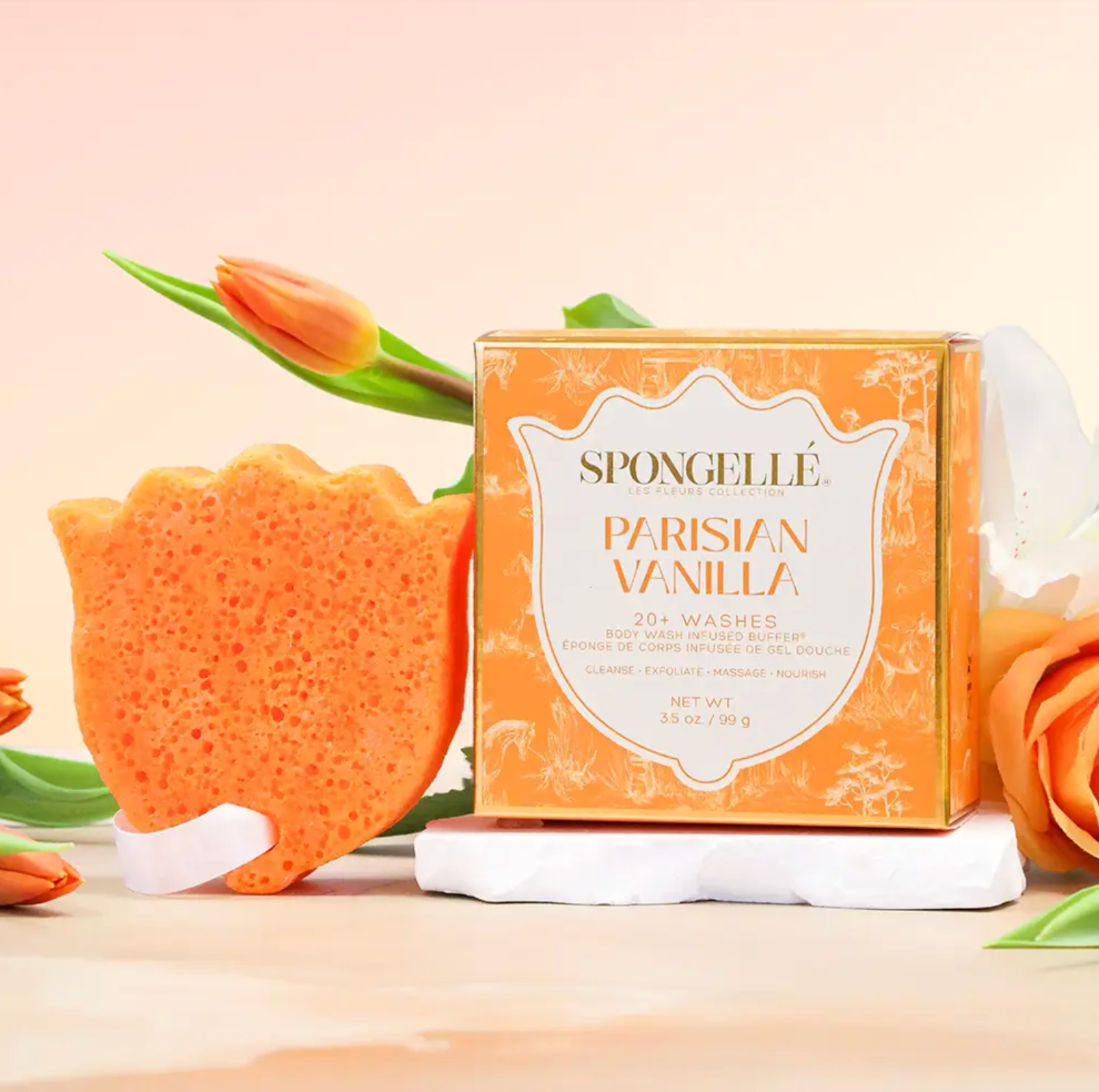 Boxed Spongellé | Parisian Vanilla