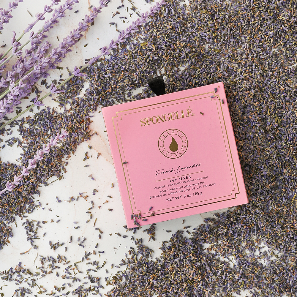 Boxed Spongellé | French Lavender