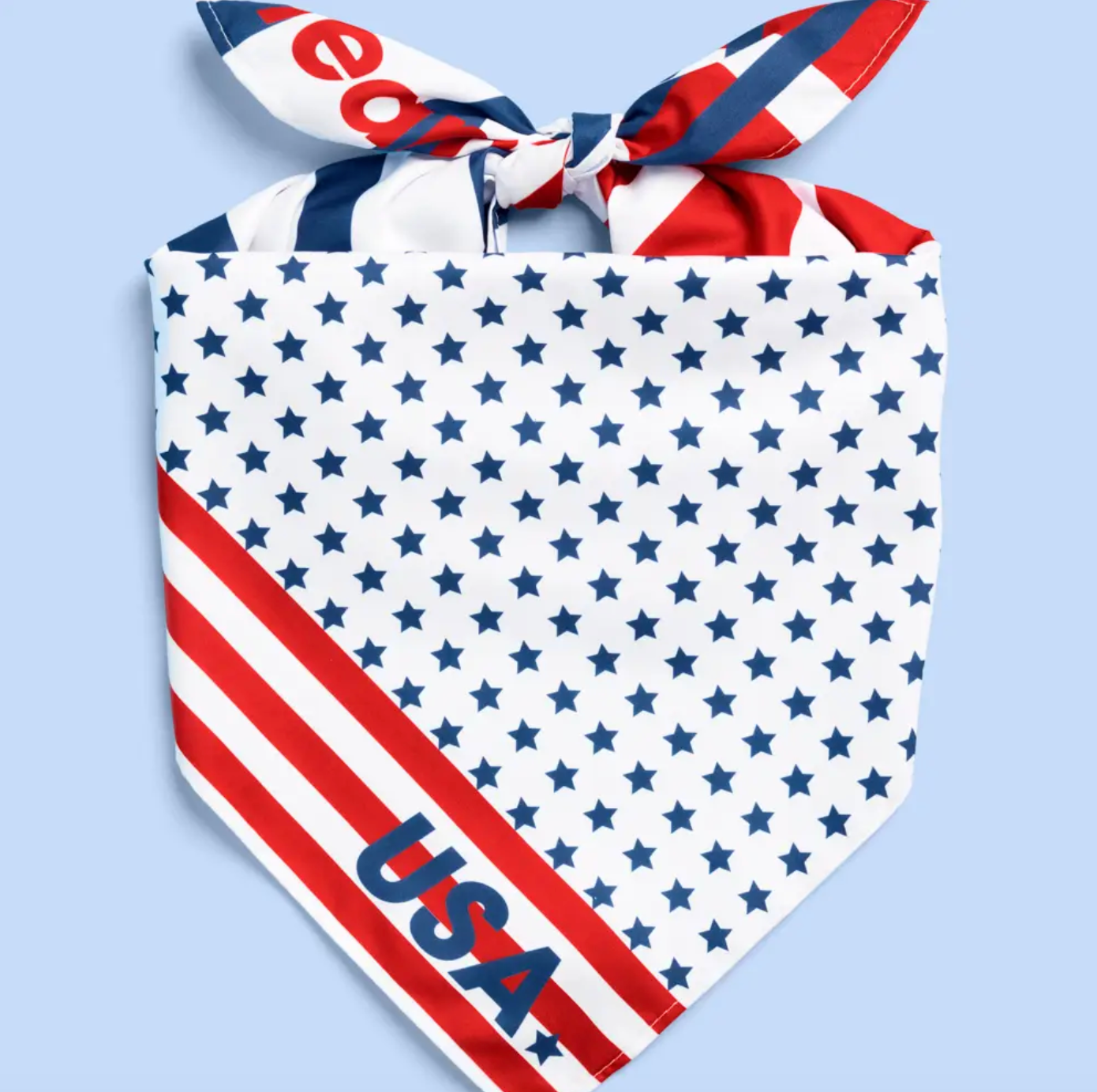 Bandana | USA