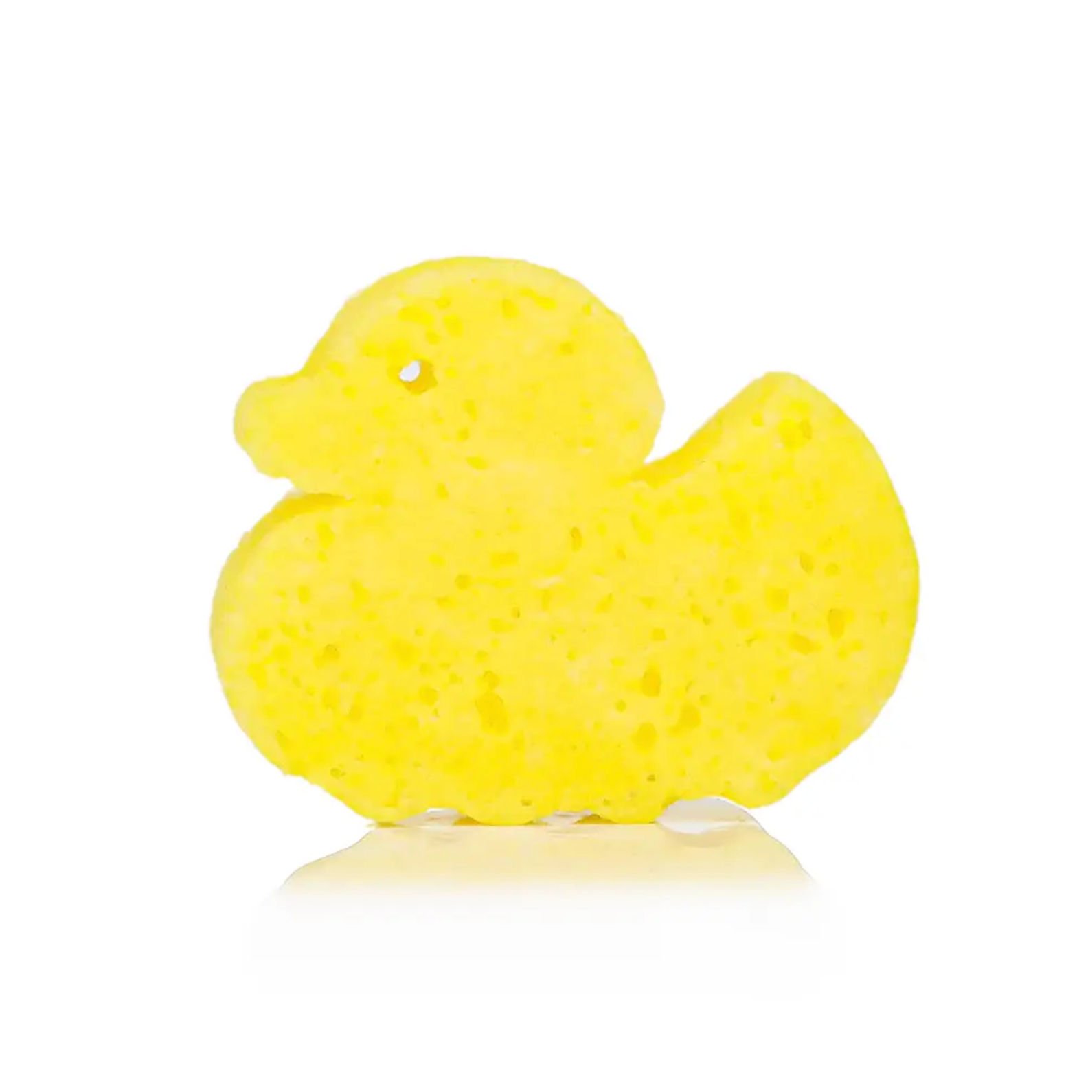 Danny Duck | Animal Spongellé®