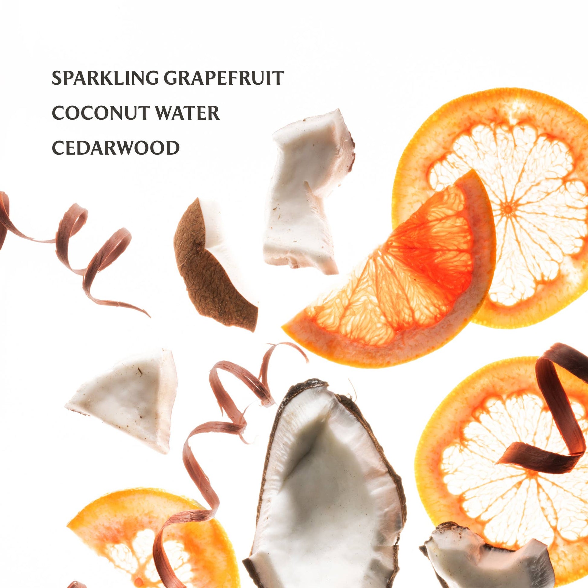 Beach Coco | Power Mist Hydrating Hand Sanitizer