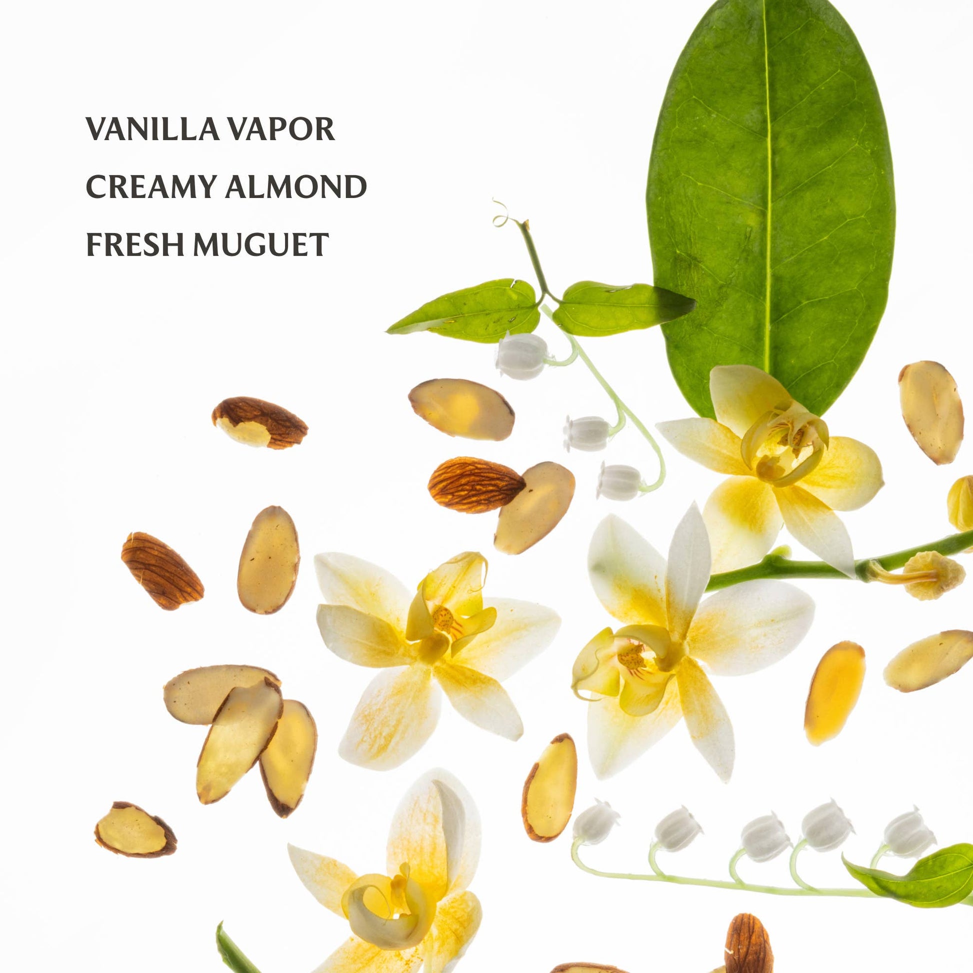 Vanilla Velvet | Power Essence Body & Hair Fragrance Mist