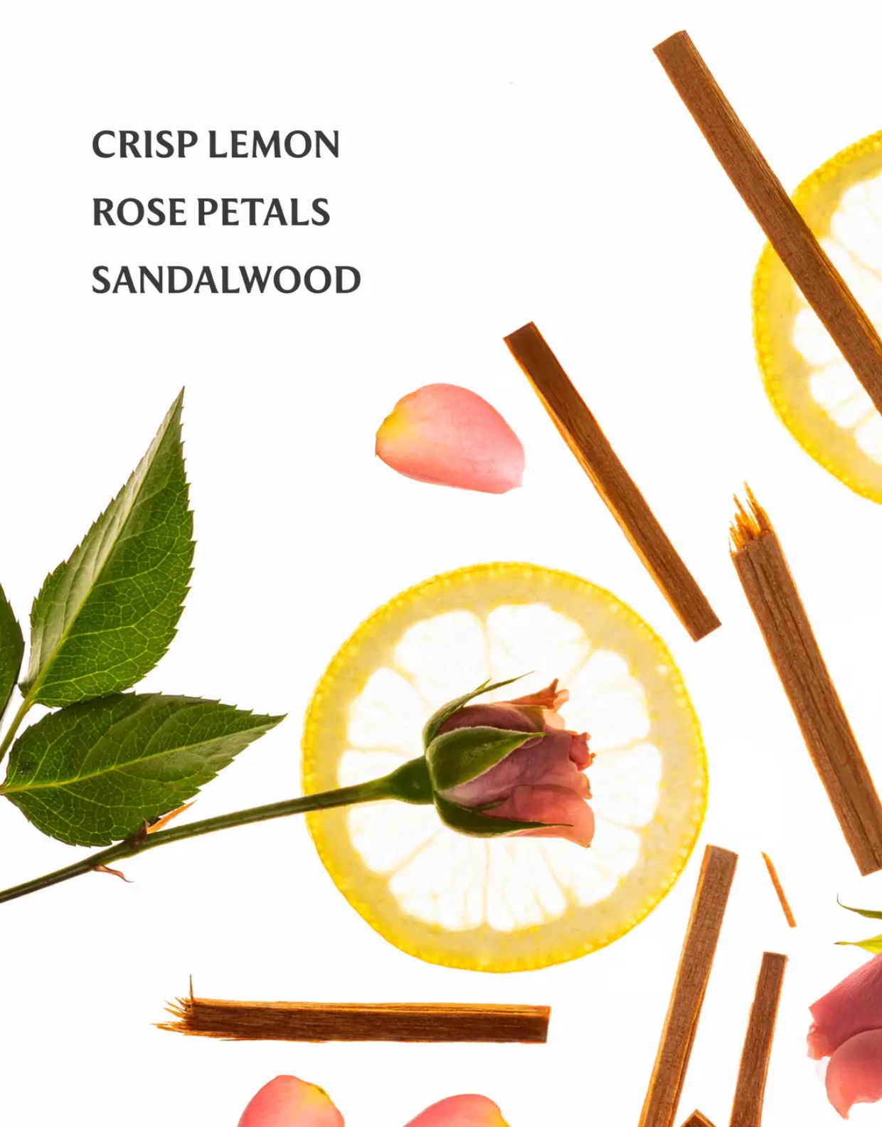 Blue Sandalwood | Power Mist Hydrating Hand Sanitizer